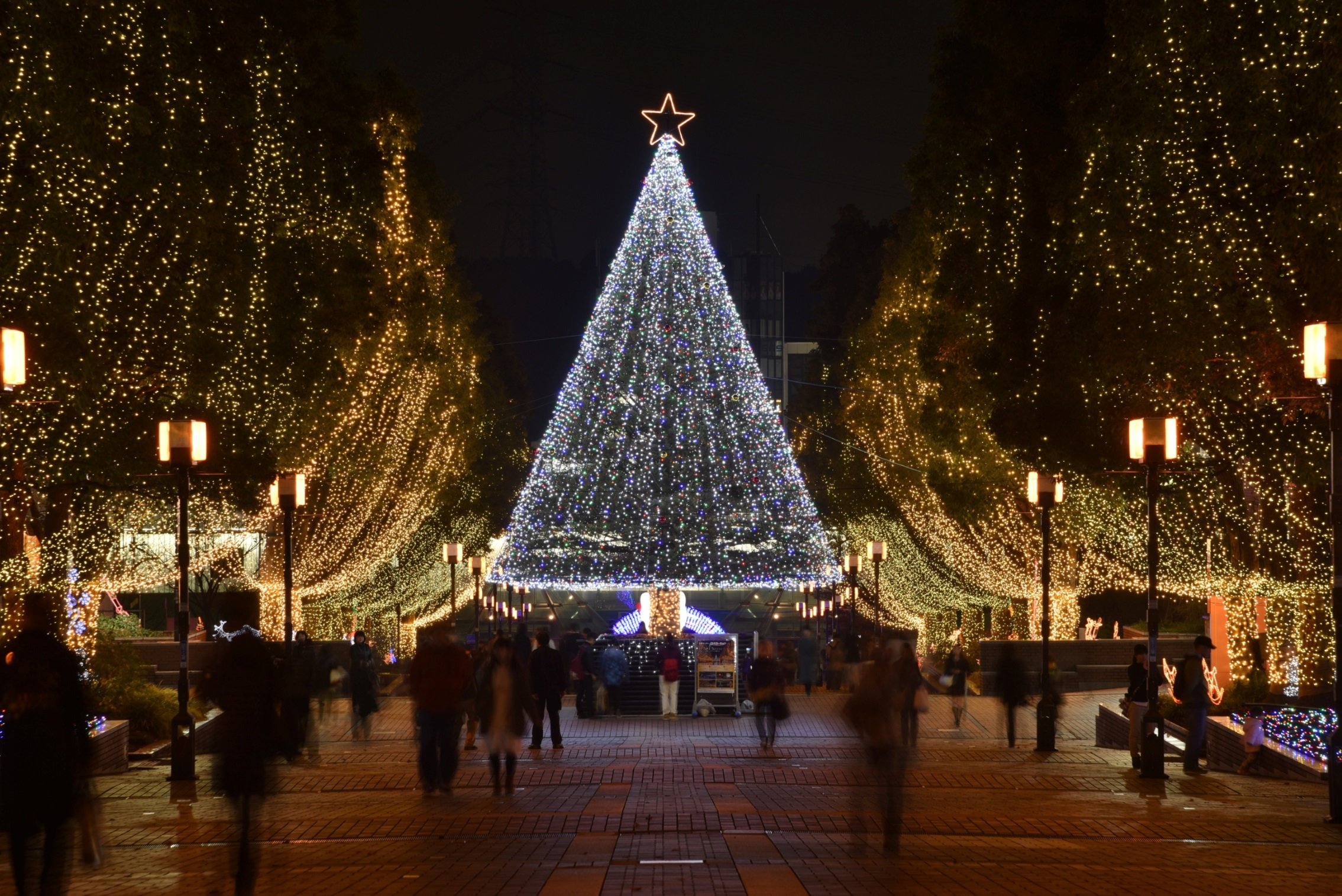 ✨ 파르테논 거리(파르테논 애비뉴) 이미지 9